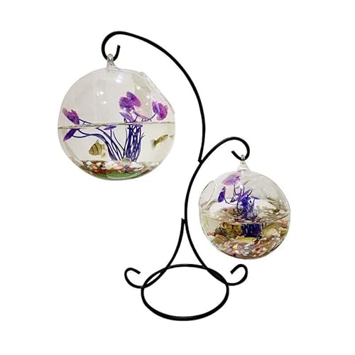 GELASIGE Kreatives kleines Aquarium, ökologisch, rund, transparentes Glas, Goldfisch-Aquarium, Zuhause, Wohnzimmer, Büro, Glas GELASIGE Kreatives kleines Aquarium, ökologisch, rund, transparentes Glas, Goldfisch-Aquarium, Zuhause, Wohnzimmer, Büro, Glas von GELASIGE