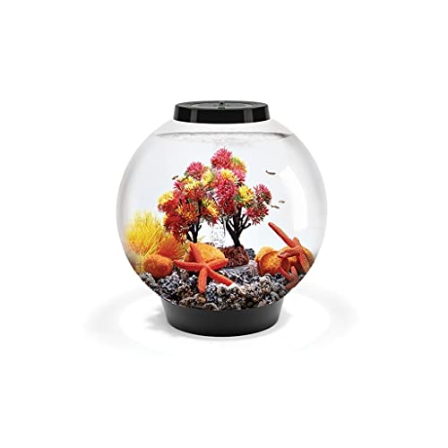 GELASIGE Kreatives rundes Aquarium, kleines Aquarium, Zuhause, Innenraum, Wohnzimmer, Büro, Mode, Landschaftsbau, Desktop-Aquarium, 15 l Glas GELASIGE Kreatives rundes Aquarium, kleines Aquarium, Zuhause, Innenraum, Wohnzimmer, Büro, Mode, Landschaftsbau, Desktop-Aquarium, 15 l Glas von GELASIGE