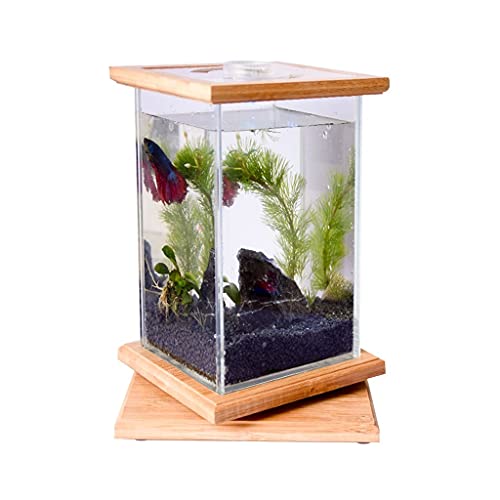 GELASIGE Kreatives transparentes Glas, für Büro, Zuhause, Desktop, Schreibtisch, ökologisches Aquarium, drehbar, kleines Aquarium, Glas GELASIGE Kreatives transparentes Glas, für Büro, Zuhause, Desktop, Schreibtisch, ökologisches Aquarium, drehbar, kleines Aquarium, Glas von GELASIGE