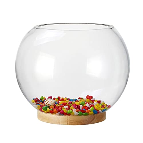 GELASIGE Rundes kreatives Glas, transparent, für Büro, Zuhause, Schreibtisch, kleines Aquarium, dekoratives Aquarium, Schildkröte, Nachtlicht, Glas GELASIGE Rundes kreatives Glas, transparent, für Büro, Zuhause, Schreibtisch, kleines Aquarium, dekoratives Aquarium, Schildkröte, Nachtlicht, Glas von GELASIGE