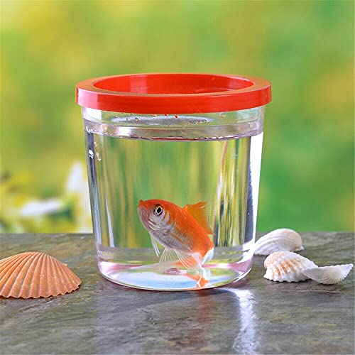 GELASIGE Transparenter Behälter für kleine Aquarien, verdicktes Harz, transparenter Becher, kleines Haustierzubehör, Büro, Zuhause, Zucht, Glas, Aquarium GELASIGE Transparenter Behälter für kleine Aquarien, verdicktes Harz, transparenter Becher, kleines Haustierzubehör, Büro, Zuhause, Zucht, Glas, Aquarium von GELASIGE