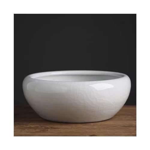 Keramik-Fischbecken für den Schreibtisch, Goldfisch-Tankschildkröte, geeignet für Wohnzimmer, Büro, Restaurant usw. Glas-Fischbecken (A,S) von GELASIGE