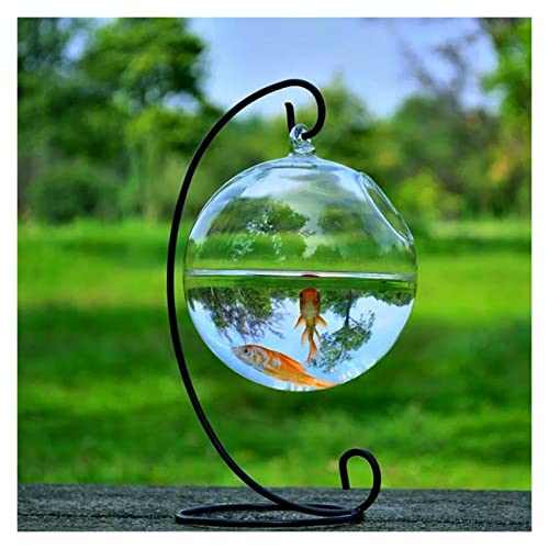 Runder hängender Fischglas aus Glas für Aquarium, Fischglas, Vase mit Höhenständer, Heimdekoration, Glasfischglas (A) von GELASIGE