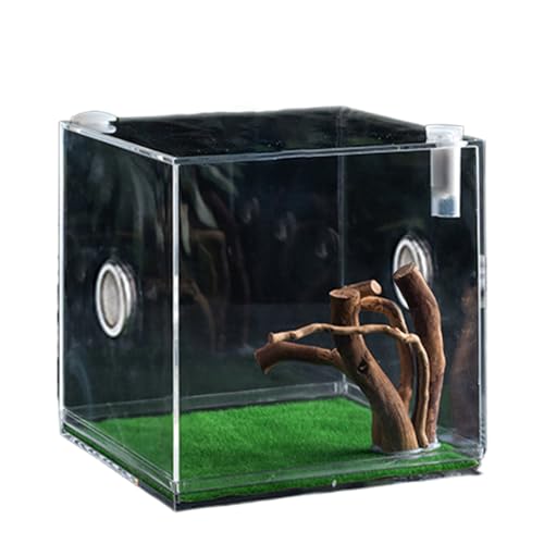 Reptilien käfig | Transparenter Reptilienkäfig | Zuchtcontainer für Spinnen, Schildkröten, Käfer, Schnecken und Eidechsen, leichtes Terrarium für Wachstum und Pflege Reptilien käfig | Transparenter Reptilienkäfig | Zuchtcontainer für Spinnen, Schildkröten, Käfer, Schnecken und Eidechsen, leichtes Terrarium für Wachstum und Pflege von GENERIC