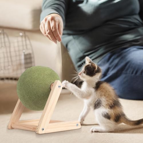 Silberne Weinrebenkugeln für Katzen | Rotierende Rolle mit Katzenminze | Essbares Spielzeug für Kätzchen Silvervine für Katzen zum Lecken | Rotierende Rolle mit Katzenminze | Kugeln von E zu Katze Silberne Weinrebenkugeln für Katzen | Rotierende Rolle mit Katzenminze | Essbares Spielzeug für Kätzchen Silvervine für Katzen zum Lecken | Rotierende Rolle mit Katzenminze | Kugeln von E zu Katze von GENERIC
