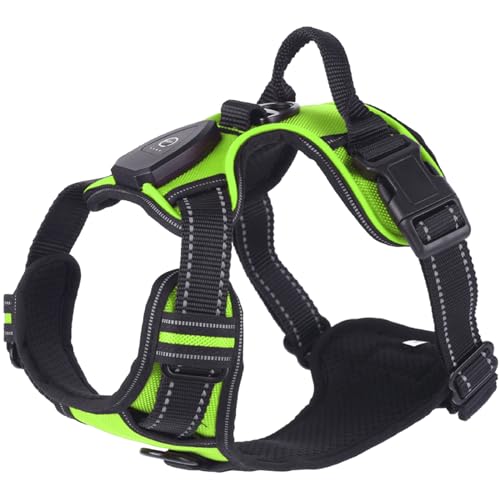 LED-Hundegeschirr, leuchtend, verschiedene Größen, für Spaziergänge im Freien, für Hunde, Kätzchen, Nachtspaziergänge LED-Hundegeschirr, leuchtend, verschiedene Größen, für Spaziergänge im Freien, für Hunde, Kätzchen, Nachtspaziergänge von GENGENER