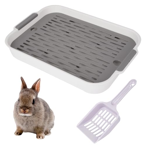 Grün Kotwanne Kaninchen Kaninchentoiletten Toilette mit Schaufel Zubehör Hasentoilette Hasenklo Nagertoilette Meerschweinchen Toilette Kaninchenklo für Kaninchen Haus Rat Cage Meerschweinchen Grün Kotwanne Kaninchen Kaninchentoiletten Toilette mit Schaufel Zubehör Hasentoilette Hasenklo Nagertoilette Meerschweinchen Toilette Kaninchenklo für Kaninchen Haus Rat Cage Meerschweinchen von GENZYRE