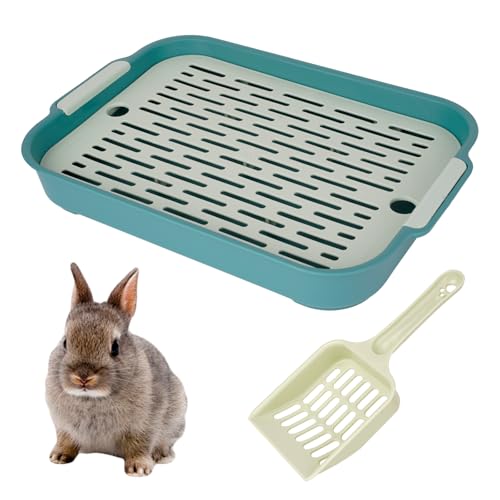 Grün Kotwanne Kaninchen Kaninchentoiletten Toilette mit Schaufel Zubehör Hasentoilette Hasenklo Nagertoilette Meerschweinchen Toilette Kaninchenklo für Kaninchen Haus Rat Cage Meerschweinchen von GENZYRE