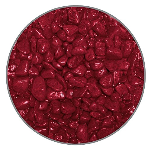 GEORPLAST Haarbürste für Haustiere, rot, glänzend, Nylonborsten, 1 Stück GEORPLAST Haarbürste für Haustiere, rot, glänzend, Nylonborsten, 1 Stück von ICA