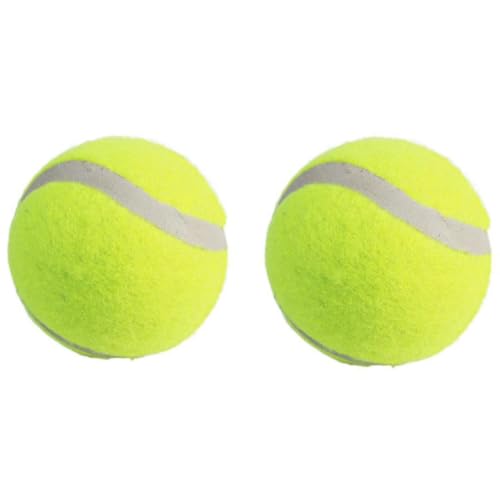 GERRIT 2 Haustierspielzeug, Tennisbälle, interaktive Trainingsbälle für Hunde und Hundetrainingszubehör von GERRIT