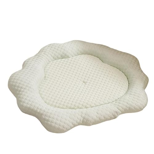 Katzenbetten für Hauskatzen, waschbar, Wolkenform, Katzenmatte und Hundebett, weiches Plüschkissen, 68 x 53 cm, Grün Katzenbetten für Hauskatzen, waschbar, Wolkenform, Katzenmatte und Hundebett, weiches Plüschkissen, 68 x 53 cm, Grün von GERRIT