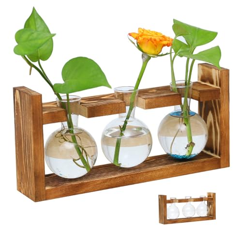 Vermehrungsstationen for Terrarium-Glaspflanzen mit Holzunterstützung for Hydrokulturpflanzen, Bürodekoration von Haushalten/126 von GERRIT