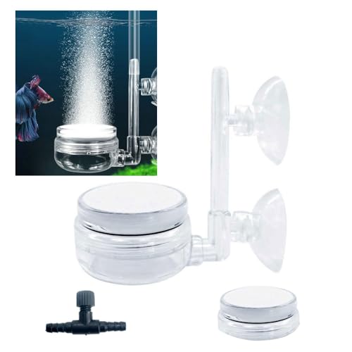 GERUI 1 Set Aquarium Nano Bubble, Nano-Blasenstein-Set mit Steuerventil, Zusätzlicher Bubble Stone im Lieferumfang enthalten,Fish Tank Acrylic The Bubble Accessories(35mm) GERUI 1 Set Aquarium Nano Bubble, Nano-Blasenstein-Set mit Steuerventil, Zusätzlicher Bubble Stone im Lieferumfang enthalten,Fish Tank Acrylic The Bubble Accessories(35mm) von GERUI