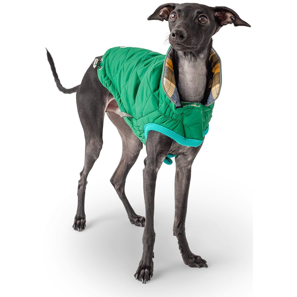 GF Pet Reversible Trail Jacke grün XS von GF PET