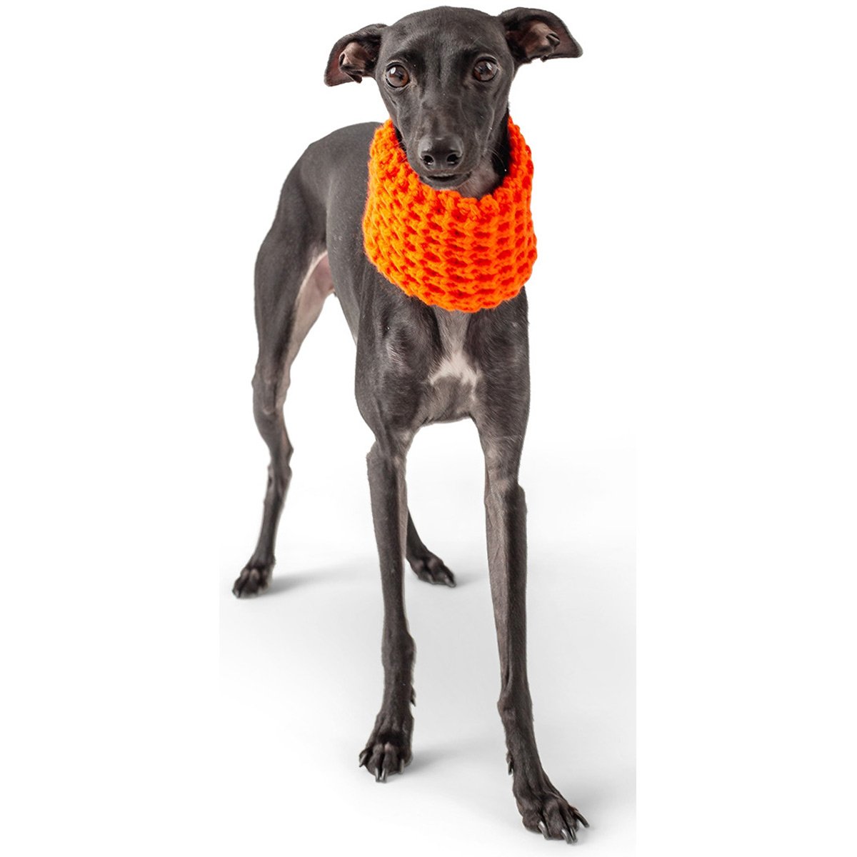 GF Pet Scout Schlauchschal orange L von GF PET