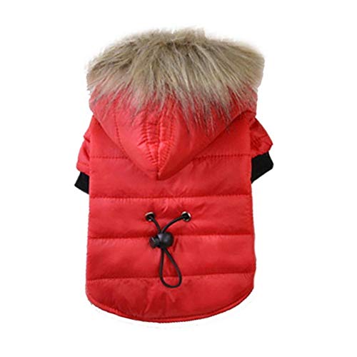 GFFGA Winterwarme Baumwolle Winddichte Hundemantel Jacke Pelz Hoodie Welpen Outfits für Chihuahua Yorkie Hund Winterkleidung Haustiere Kleidung # 15,01 rot, M. von GFFGA