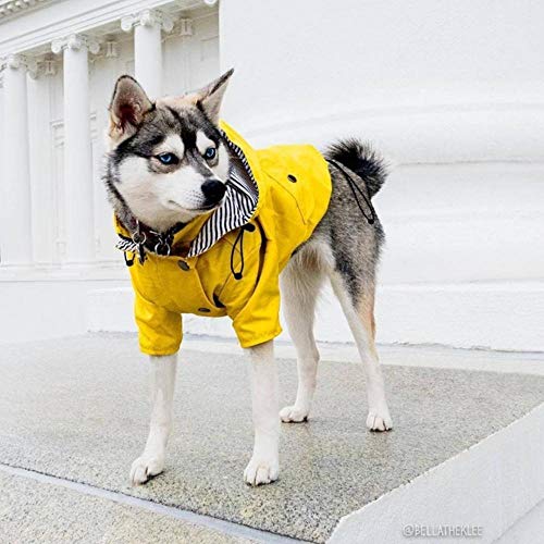 Großer Hund Regenmantel Hundemantel Haustier Kleidung gelber Hund Windjacke großer Hund Regenmantel wasserdichte Outdoor-Jacke, Gelb, 4XL von GFFGA