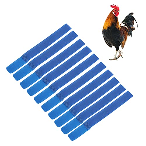 10 Stück Hühnerhalsband No-Crow Hahnhalsband Anti-Haken-Hühnerhalsband Geräuschfreies Nackenband Halsbänder für Haustierhähne Verhindern, DASS Hühner krähen(blau) von GFRGFH