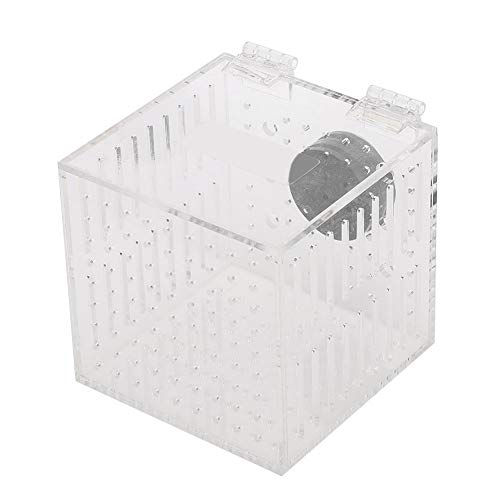 Magnetische Acryl-Aquarium-Fischzucht-Isolierbox für Baby-Fischbrüterei-Inkubatorkäfig, einfach zu bedienen von GFRGFH