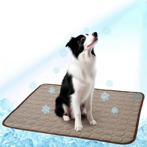 Kühlmatte für Hunde und Katzen, Hundedecke rutschfeste Schlafbett Waschbar Atmungsaktiv Kühlkissen, Gelpad für Hunde und Katzen im heißen Sommer,Perfekt für Auto, Reise und Zuhause, 70 * 55cm Kühlmatte für Hunde und Katzen, Hundedecke rutschfeste Schlafbett Waschbar Atmungsaktiv Kühlkissen, Gelpad für Hunde und Katzen im heißen Sommer,Perfekt für Auto, Reise und Zuhause, 70 * 55cm von GGUFAY