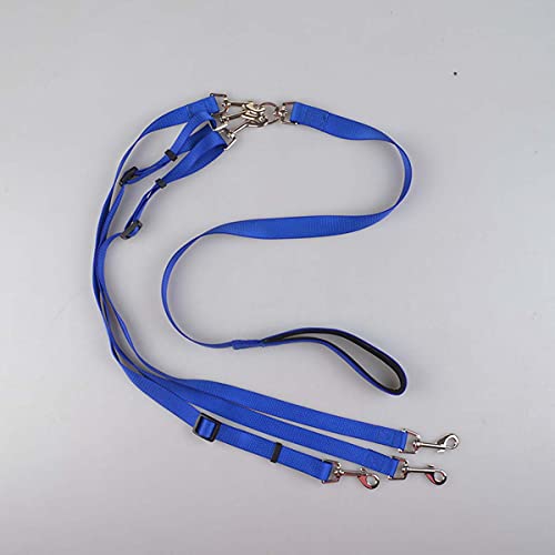 GGoty Einziehbare Hundeleine, gepolstert, bequemer Griff, 3-in-1-Hundeleine, robustes Nylon, geeignet für mittelgroße oder kleine Hunde (blau) von GGoty