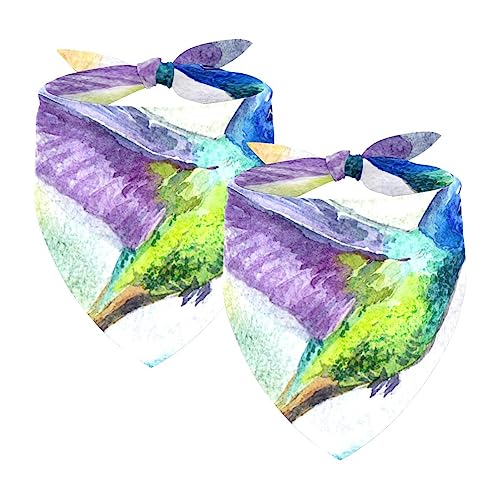 2Pcs Hunde Bandanas Hochzeit Foto Requisite Lätzchen Haustier Zubehör Haustier Schal Katzen Bandana für Hunde Welpen,Kunst Aquarell Vogel von GIAPB