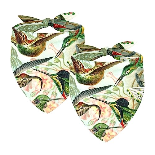 2Pcs Hunde Bandanas Hochzeit Foto Requisite Lätzchen Haustier Zubehör Haustier Schal Katzen Bandana für Hunde Welpen,Tierischer grüner Vogel von GIAPB