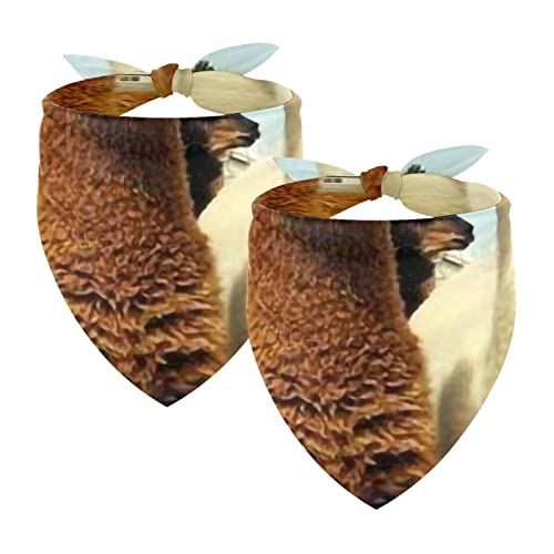 2Pcs Hunde Bandanas Hochzeit Foto Requisite Lätzchen Haustier Zubehör Haustier Schal Katzen Bandana für Hunde Welpen,Tierisches Alpaka Muster 2Pcs Hunde Bandanas Hochzeit Foto Requisite Lätzchen Haustier Zubehör Haustier Schal Katzen Bandana für Hunde Welpen,Tierisches Alpaka Muster von GIAPB