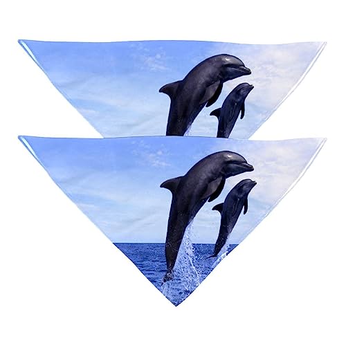 2Pcs Hundehalstücher Schals Lätzchen Haustierhalstücher verstellbares Zubehör für kleine bis große Hunde Welpen Katzen,Blaues Meer und Delphin von GIAPB