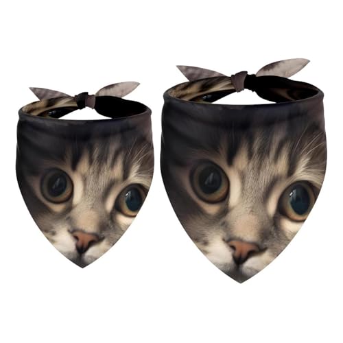 2Pcs Hundehalstücher Taschentücher Schals Lätzchen Kopftücher Schals Zubehör für Hunde Katzen Haustierliebhaber,Bett Süße Katze von GIAPB