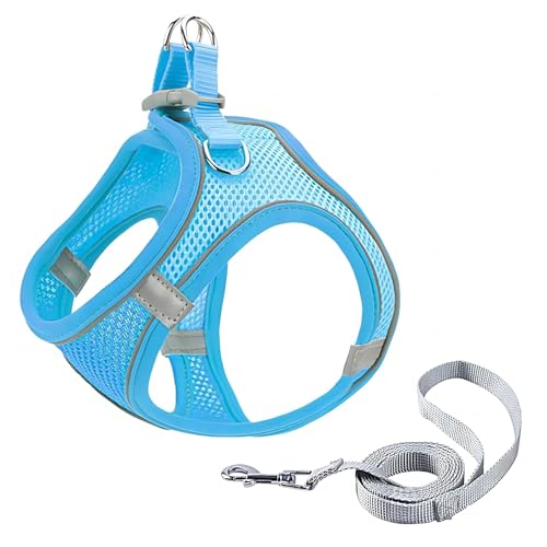 GIAPINST Hundegeschirr, Step-in-Hundegeschirr und Leine, Katzengeschirr, reflektierend, atmungsaktiv, Westengeschirr für kleine mittelgroße Welpen, Kätzchen, Outdoor-Training (Blue, M) GIAPINST Hundegeschirr, Step-in-Hundegeschirr und Leine, Katzengeschirr, reflektierend, atmungsaktiv, Westengeschirr für kleine mittelgroße Welpen, Kätzchen, Outdoor-Training (Blue, M) von GIAPINST