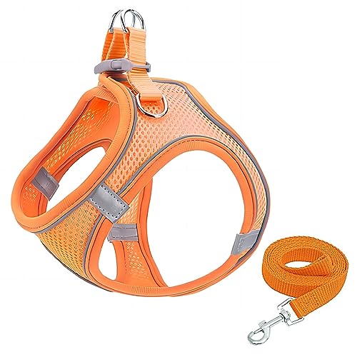 GIAPINST Hundegeschirr, Step-in-Hundegeschirr und Leine, Katzengeschirr, reflektierend, atmungsaktiv, Westengeschirr für kleine mittelgroße Welpen, Kätzchen, Outdoor-Training (Orange, M) GIAPINST Hundegeschirr, Step-in-Hundegeschirr und Leine, Katzengeschirr, reflektierend, atmungsaktiv, Westengeschirr für kleine mittelgroße Welpen, Kätzchen, Outdoor-Training (Orange, M) von GIAPINST