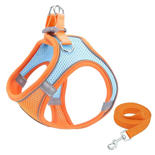 GIAPINST Hundegeschirr, Step-in-Hundegeschirr und Leine, Katzengeschirr, reflektierend, atmungsaktiv, Westengeschirr für kleine mittelgroße Welpen, Kätzchen, Outdoor-Training (Orange-Blue, M) GIAPINST Hundegeschirr, Step-in-Hundegeschirr und Leine, Katzengeschirr, reflektierend, atmungsaktiv, Westengeschirr für kleine mittelgroße Welpen, Kätzchen, Outdoor-Training (Orange-Blue, M) von GIAPINST