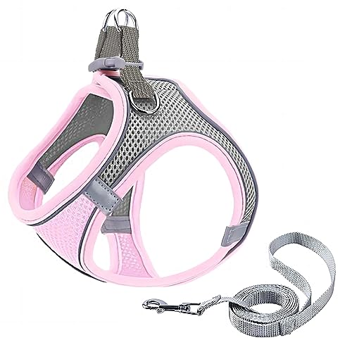 GIAPINST Hundegeschirr, Step-in-Hundegeschirr und Leine, Katzengeschirr, reflektierend, atmungsaktiv, Westengeschirr für kleine mittelgroße Welpen, Kätzchen, Outdoor-Training (Pink-Grey, L) GIAPINST Hundegeschirr, Step-in-Hundegeschirr und Leine, Katzengeschirr, reflektierend, atmungsaktiv, Westengeschirr für kleine mittelgroße Welpen, Kätzchen, Outdoor-Training (Pink-Grey, L) von GIAPINST