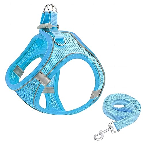GIAPINST Hundegeschirr kleine Hunde, No Pull Hundegeschirr, Verstellbares Haustier Sicherheitsgeschirr mit Atmungsaktivem Mesh und Reflektierendem Streifen für mittelgroße Hunde (S, Blau) von GIAPINST
