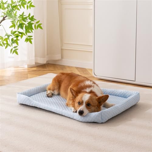 GIBZ Abziehbarer Hundebett mit Reißverschluss, Waschbare Katzenmatte mit Rand, Atmungsaktive Haustier Schlafmatte für Sommer, Blau, 45x60x6cm GIBZ Abziehbarer Hundebett mit Reißverschluss, Waschbare Katzenmatte mit Rand, Atmungsaktive Haustier Schlafmatte für Sommer, Blau, 45x60x6cm von GIBZ