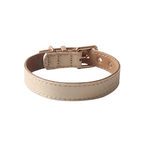 GIBZ Hundehalsband Leder, Komfortabel und Robuste mit Weich Gepolstert, Verstellbare Halsband für Kleine, Mittel, Große Hunde, Beige, 2.5 x 60 cm GIBZ Hundehalsband Leder, Komfortabel und Robuste mit Weich Gepolstert, Verstellbare Halsband für Kleine, Mittel, Große Hunde, Beige, 2.5 x 60 cm von GIBZ