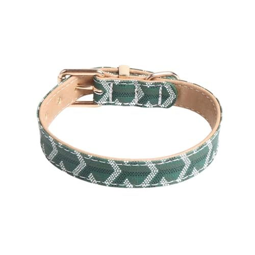 GIBZ Hundehalsband Leder, Verstellbare mit Weich Gepolstert, Komfortabel Langlebig Halsband für Kleine, Mittel, Große Hunde, Grün, 1.5 x 30 cm GIBZ Hundehalsband Leder, Verstellbare mit Weich Gepolstert, Komfortabel Langlebig Halsband für Kleine, Mittel, Große Hunde, Grün, 1.5 x 30 cm von GIBZ