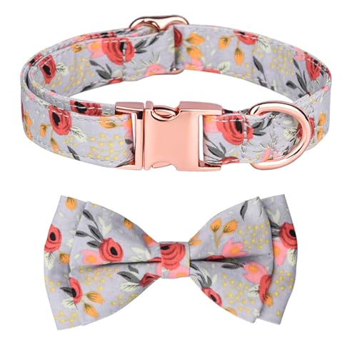 GIBZ Hundehalsband Verstellbare, mit Abnehmbarer Fliege Blumen Set, Weich Halsband für Große, Mittelgroße und Kleine Hunde, Grün-B, L GIBZ Hundehalsband Verstellbare, mit Abnehmbarer Fliege Blumen Set, Weich Halsband für Große, Mittelgroße und Kleine Hunde, Grün-B, L von GIBZ
