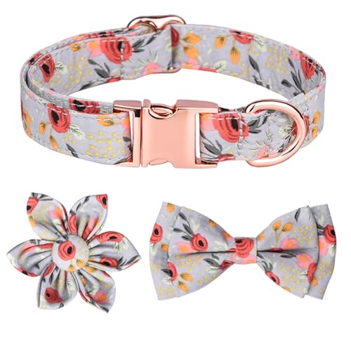GIBZ Hundehalsband Verstellbare, mit Abnehmbarer Fliege Blumen Set, Weich Halsband für Große, Mittelgroße und Kleine Hunde, Grün-C, M GIBZ Hundehalsband Verstellbare, mit Abnehmbarer Fliege Blumen Set, Weich Halsband für Große, Mittelgroße und Kleine Hunde, Grün-C, M von GIBZ