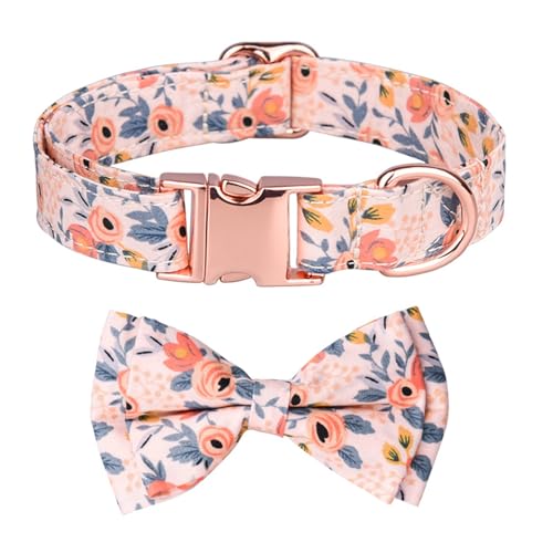 GIBZ Hundehalsband Verstellbare, mit Abnehmbarer Fliege Blumen Set, Weich Halsband für Große, Mittelgroße und Kleine Hunde, Orange-B, M GIBZ Hundehalsband Verstellbare, mit Abnehmbarer Fliege Blumen Set, Weich Halsband für Große, Mittelgroße und Kleine Hunde, Orange-B, M von GIBZ