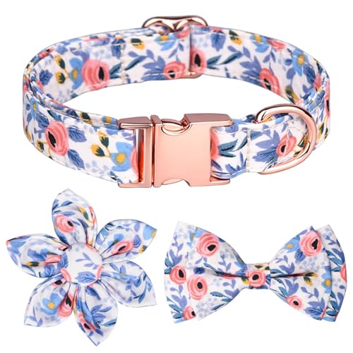 GIBZ Hundehalsband Verstellbare, mit Abnehmbarer Fliege Blumen Set, Weich Halsband für Große, Mittelgroße und Kleine Hunde, Orange-C, L GIBZ Hundehalsband Verstellbare, mit Abnehmbarer Fliege Blumen Set, Weich Halsband für Große, Mittelgroße und Kleine Hunde, Orange-C, L von GIBZ