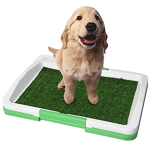 GIBZ Hundeklo mit Tablett Kunstrasen Welpen Trainings PIPI Pods Waschbar Gras Hundetoilette für Indoor und Outdoor, 47×34×6cm von GIBZ