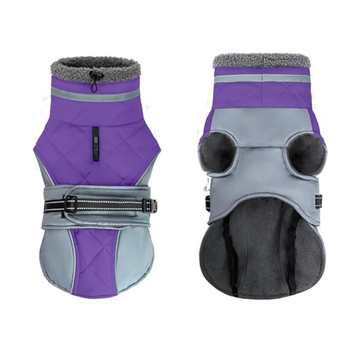 GIBZ Hundemantel Winter Outdoor, Winddicht Wasserdicht Jacke mit Reflektierendem Geschirr, Warme Fleece Kleidung für Hunde, Lila, L GIBZ Hundemantel Winter Outdoor, Winddicht Wasserdicht Jacke mit Reflektierendem Geschirr, Warme Fleece Kleidung für Hunde, Lila, L von GIBZ