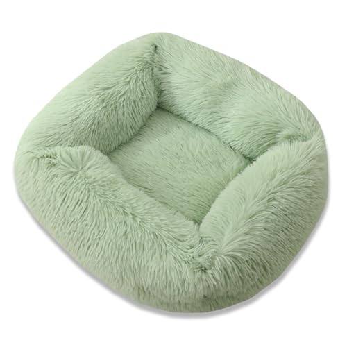 GIBZ Katzenbett Warm Einfarbig Winter Rechteckig Flauschig Hundebett Waschbar rutschfest Haustierbett für Klein Mittelgroß und Groß Grün 65x55x18cm GIBZ Katzenbett Warm Einfarbig Winter Rechteckig Flauschig Hundebett Waschbar rutschfest Haustierbett für Klein Mittelgroß und Groß Grün 65x55x18cm von GIBZ