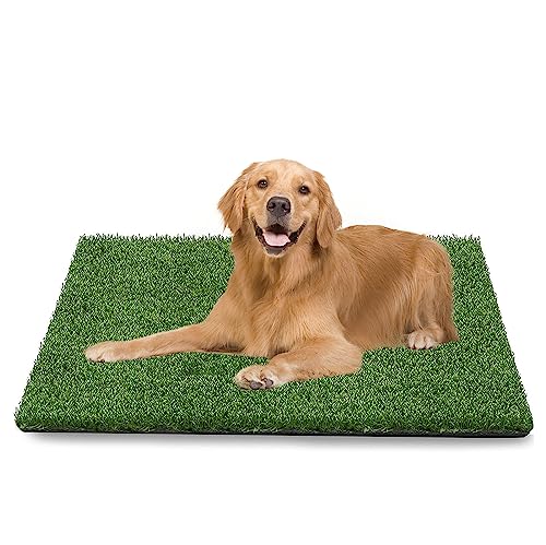 GIBZ Kunstrasen Hundeklo Gras Teppich für Hunde Waschbar Welpen Trainings Hundetoilette mit Drainageloch, L, 51.5×40cm GIBZ Kunstrasen Hundeklo Gras Teppich für Hunde Waschbar Welpen Trainings Hundetoilette mit Drainageloch, L, 51.5×40cm von GIBZ