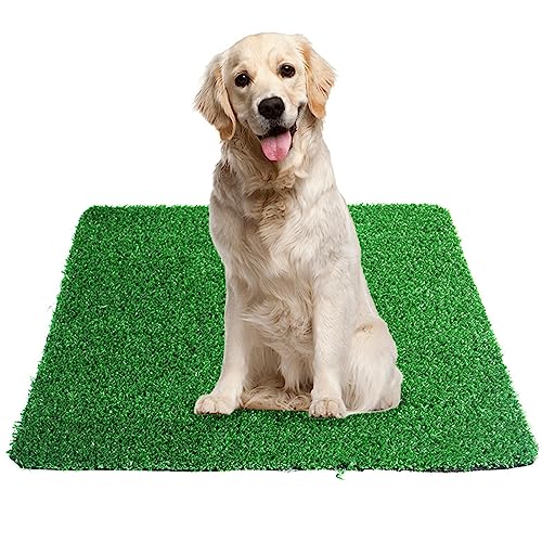 GIBZ Kunstrasen Hundeklo Gras Teppich für Hunde Waschbar Welpen Trainings Hundetoilette mit Drainageloch, L, 51.5×40cm von GIBZ