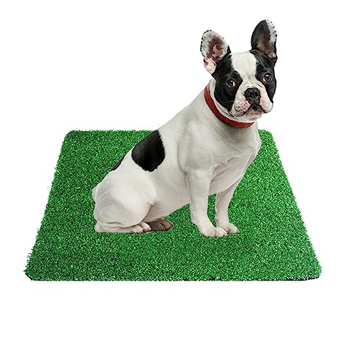 GIBZ Kunstrasen Hundeklo Gras Teppich für Hunde Waschbar Welpen Trainings Hundetoilette mit Drainageloch, S, 30×30cm von GIBZ