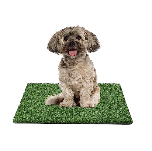 GIBZ Kunstrasen Hundeklo Gras Teppich für Hunde Waschbar Welpen Trainings Hundetoilette mit Drainageloch, S, 30×30cm von GIBZ