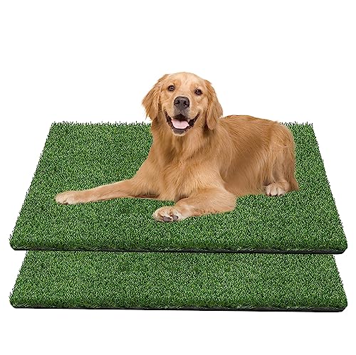 GIBZ Kunstrasen Hundeklo Gras Teppich für Hunde Waschbar Welpen Trainings Hundetoilette mit Drainageloch 2 Stücke, L, 51.5×40cm von GIBZ